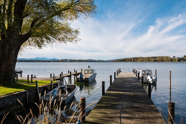 涯中积累了 涯中积累了