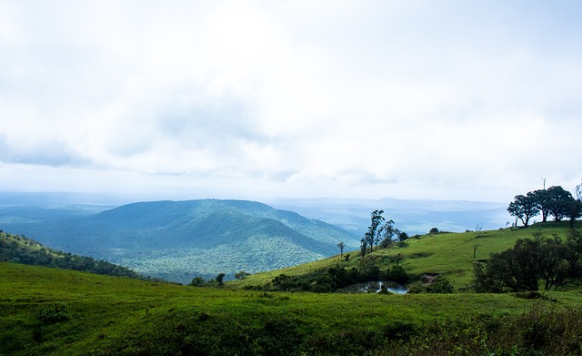 队超群的临 队超群的临