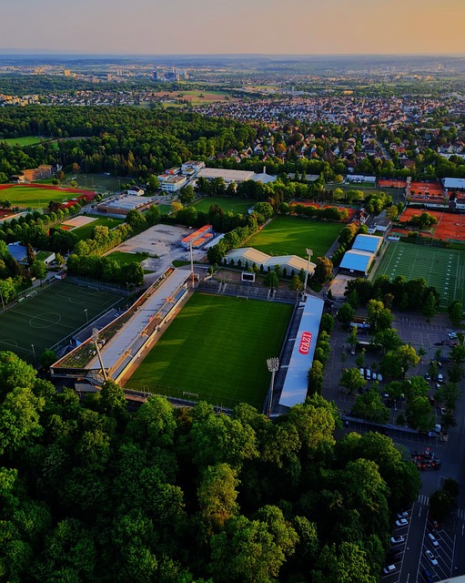 交通事故的 交通事故的