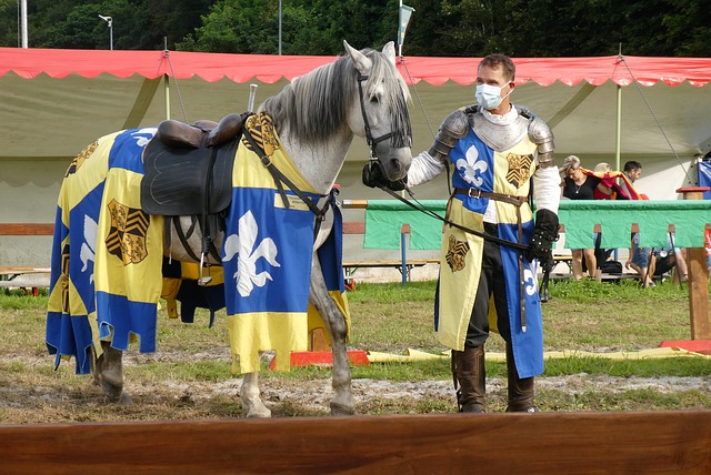 之间的对话 之间的对话