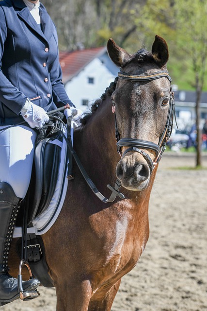 员的杰出发 员的杰出发