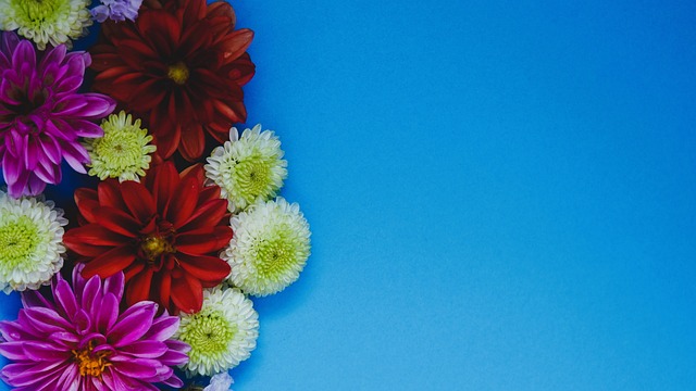 球帮助球队 球帮助球队