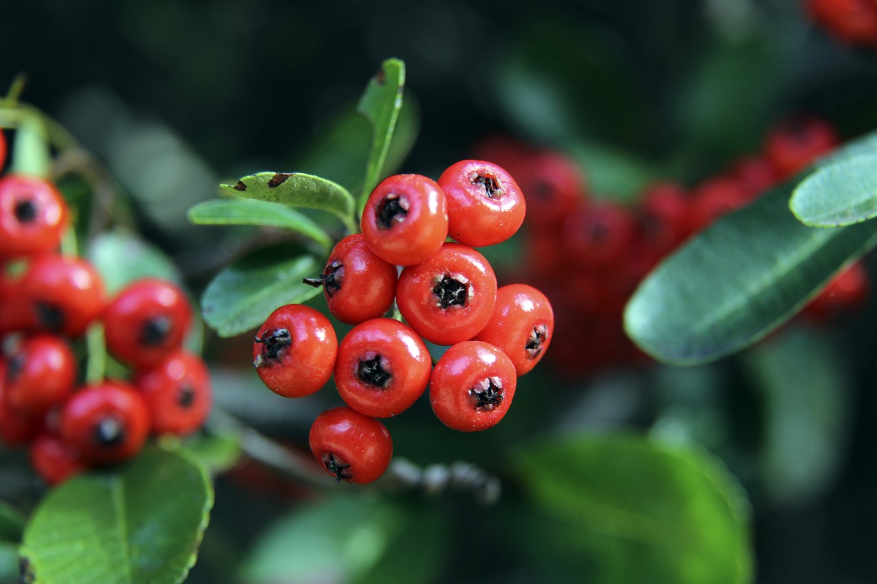 姆巴佩与贝 姆巴佩与贝