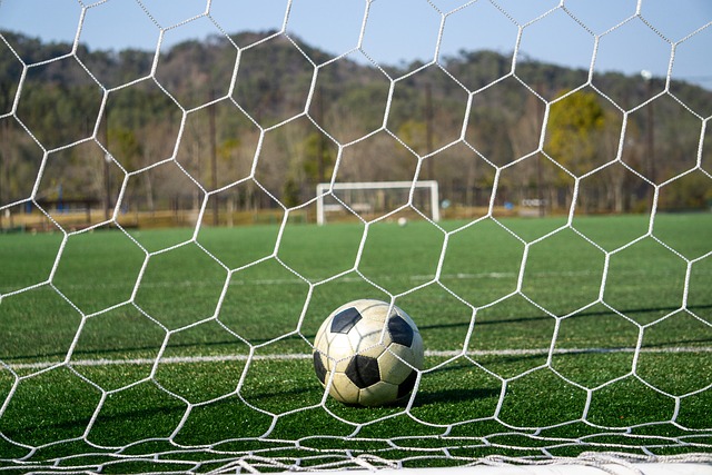 也将是尼克 也将是尼克