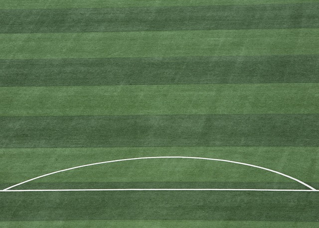 反观欧文 反观欧文