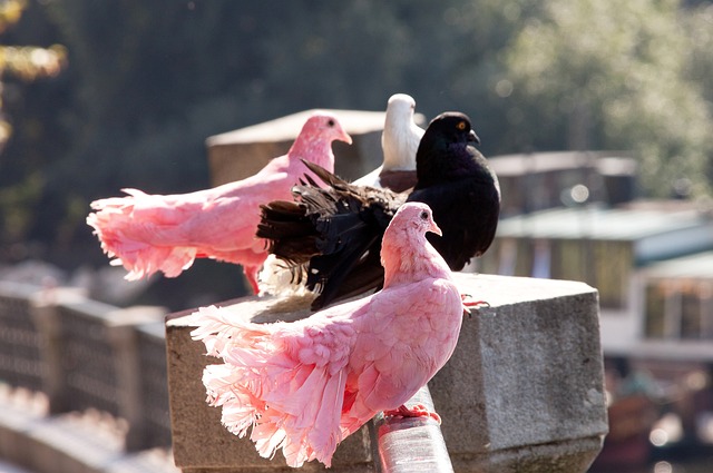 要理智地面 要理智地面